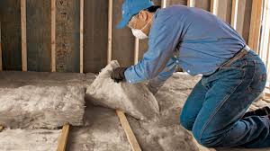 Best Basement Insulation  in Zapata, TX