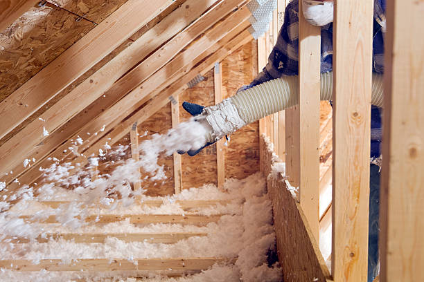 Best Eco-Friendly or Green Insulation Solutions  in Zapata, TX